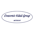 CONSORZIO VIDALI GROUP